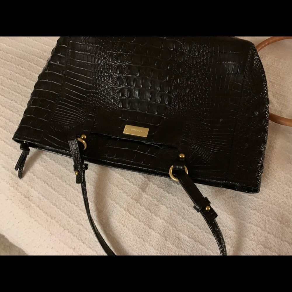 Black Brahmin Asher